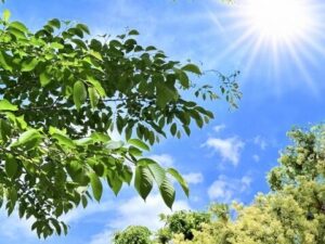 熱中症の危険性を促す画像